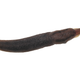 Illustration for article titled 5 Slugs That, In Retrospect, We Sort Of Whipped Ourselves Into A Frenzy Over
